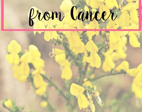 11 Lessons Learned from Cancer. A list of things I learned while fighting cancer when I was 16 years old that I still carry with me now // Life with Rosie