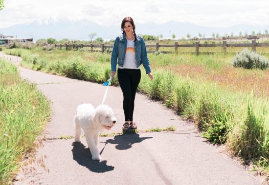 Q&A With Purina Veterinarian // Hey There, Chelsie