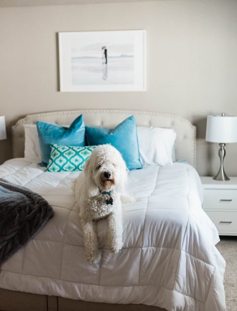 Relaxing Master Bedroom on a Budget - featuring Utah Furniture Deals // Hey There, Chelsie